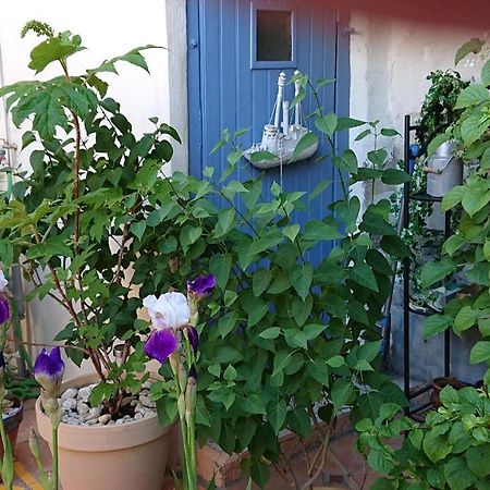 La Maison De St Victor Bed and Breakfast Saint-Victor-de-Malcap Exterior foto