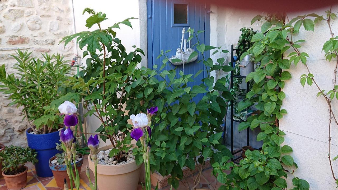 La Maison De St Victor Bed and Breakfast Saint-Victor-de-Malcap Exterior foto